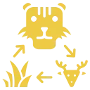 Raakon World Logistics